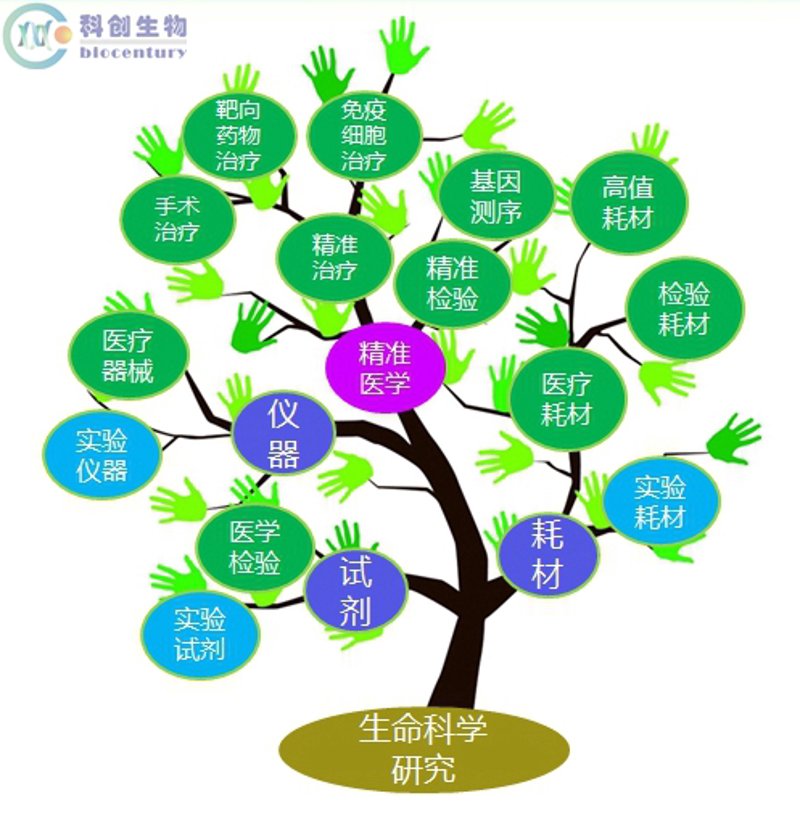 细胞治疗技术：开启医疗新时代
