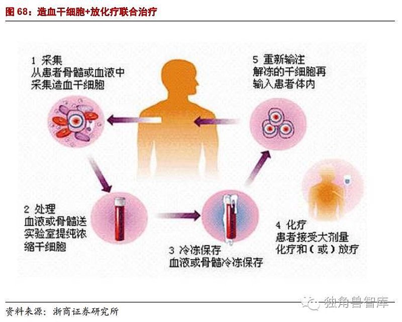 生物科技业新风向：郑州生物科技产业的发展脉络与未来展望